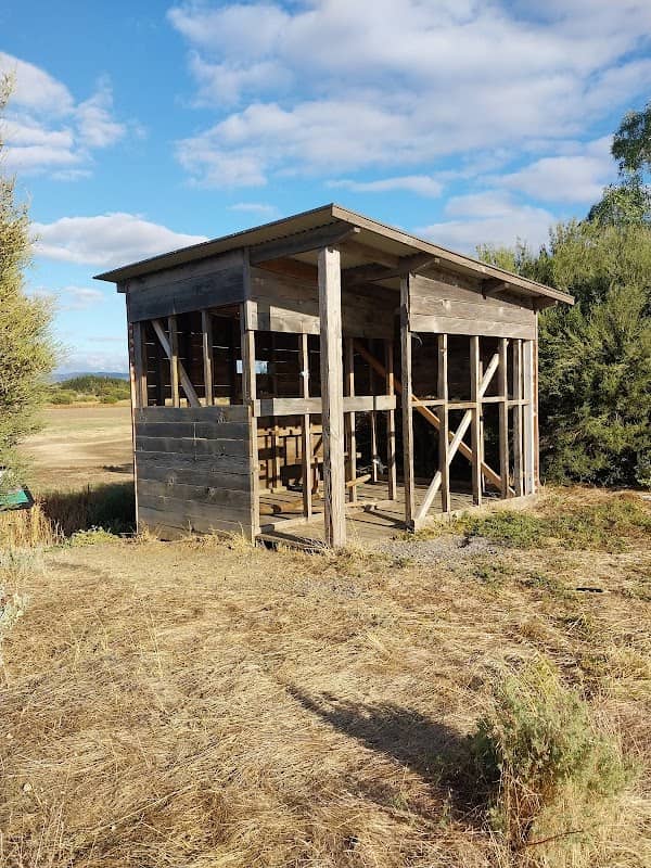 Bird Hut - Image 1