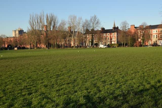 Nelson Mandela Park - Image 2
