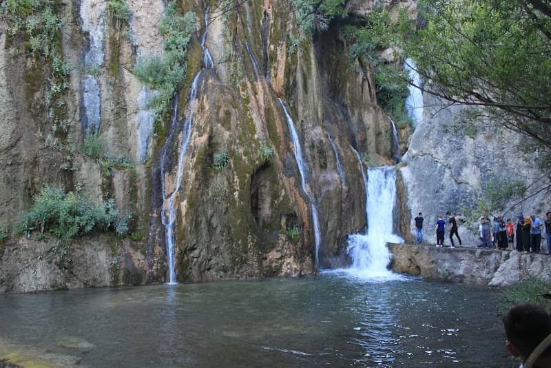 Ayse-zeki Doğan Memorial Forest - Image 1