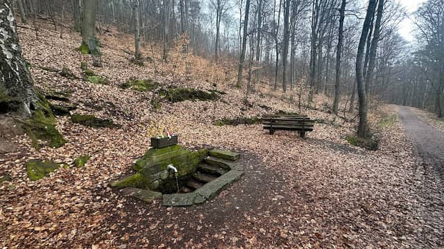 Nonnenbrunnen - Image 1