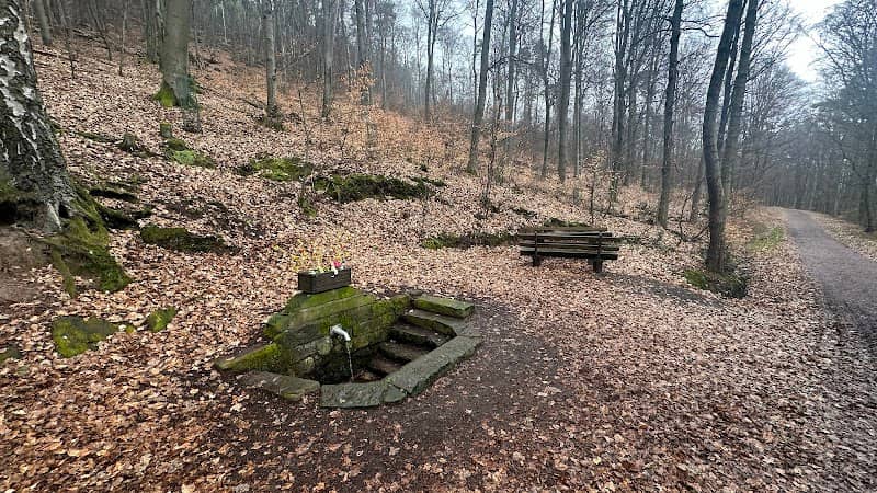 Nonnenbrunnen - Image 1