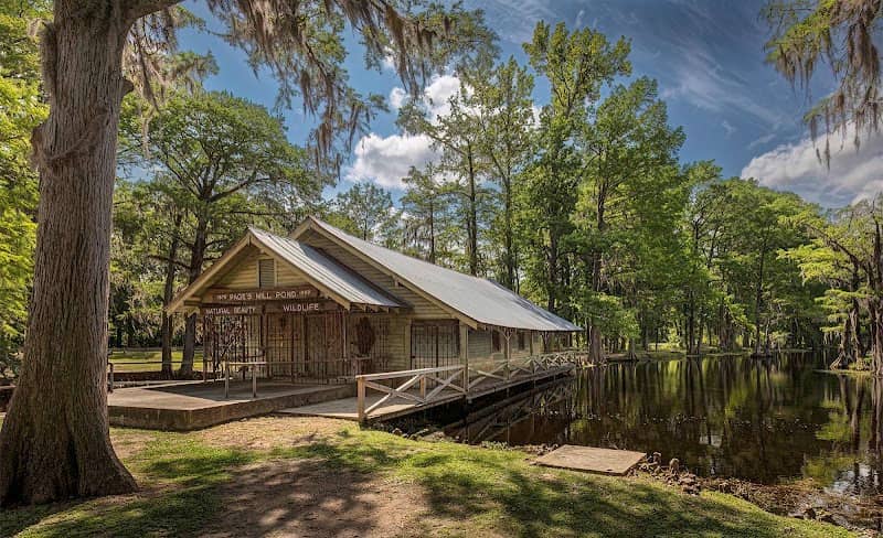 Lake View Page's Mill Pond - Image 1