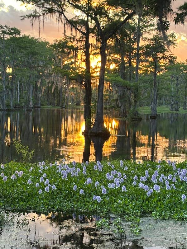 Lake View Page's Mill Pond - Image 2