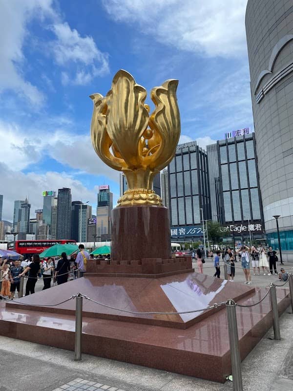 Golden Bauhinia Square - Image 1