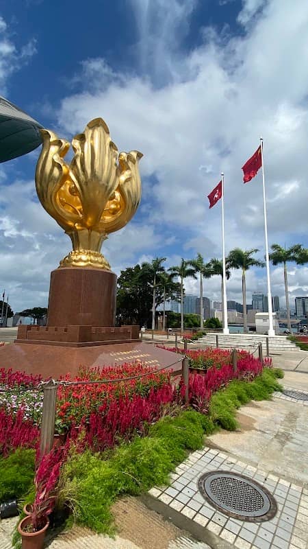Golden Bauhinia Square - Image 3