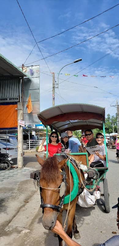 Mekong Tu Linh Tourism Company_Thoi Son-Con Phung_Thanh Cong-Thuy Kieu - Image 2