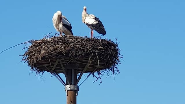 Storchennest Dingden - Image 1