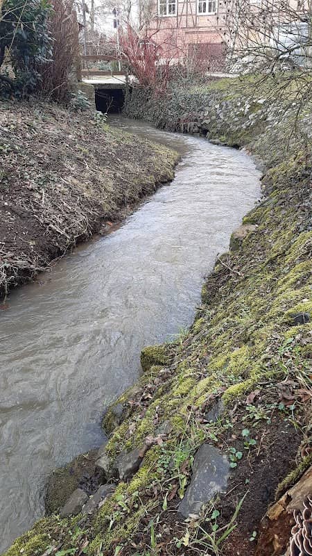 Sandbach - Image 1