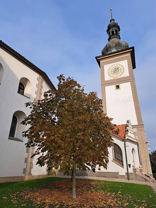 Zámecký park ve Zbraslavi - Image 2