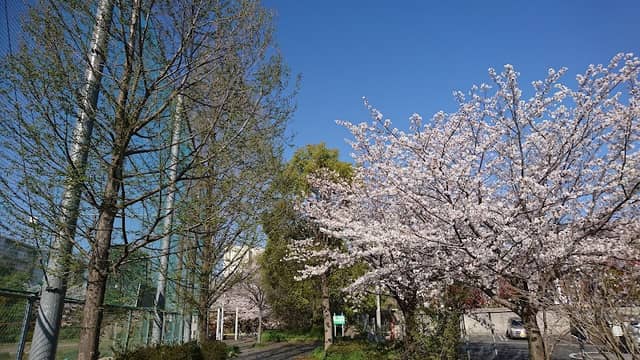 Numashinmachi Central Park - Image 1