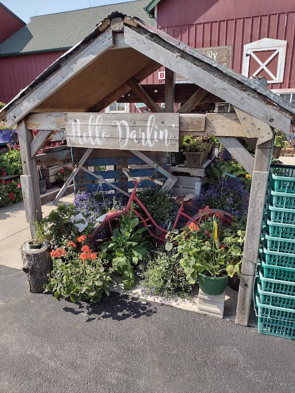 Siegel's Pumpkin Farm - Image 2