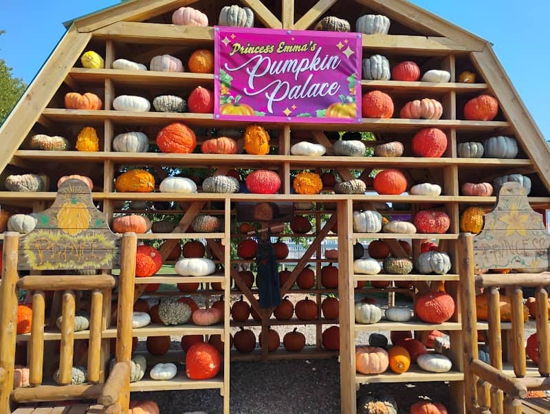 Siegel's Pumpkin Farm - Image 1