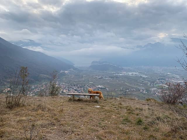 La panchina - Image 1