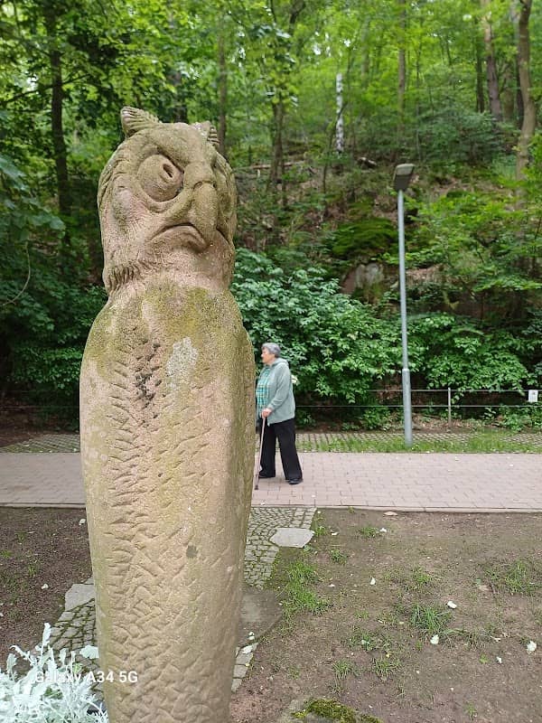 KaktusseGarten - Image 1
