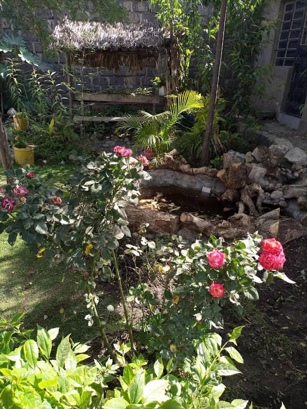 Nature Gardens - Image 1