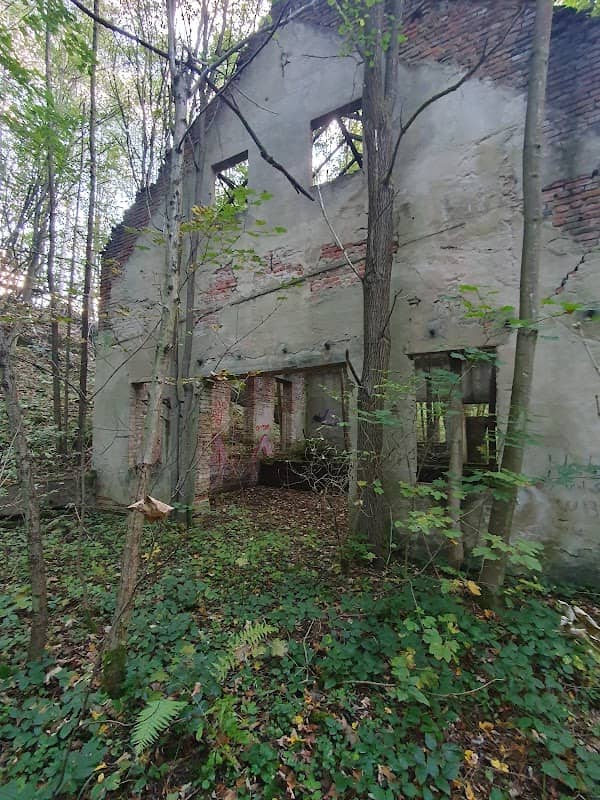 DDRwerkplaats - Image 2