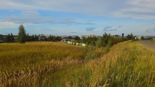 Chemurshinskoye Kladbishche - Image 1