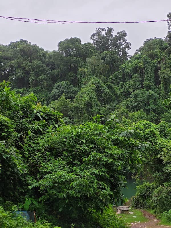 Shirent waterfall - Image 2