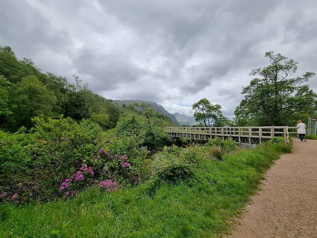 Glenfinnan Trail - Image 2