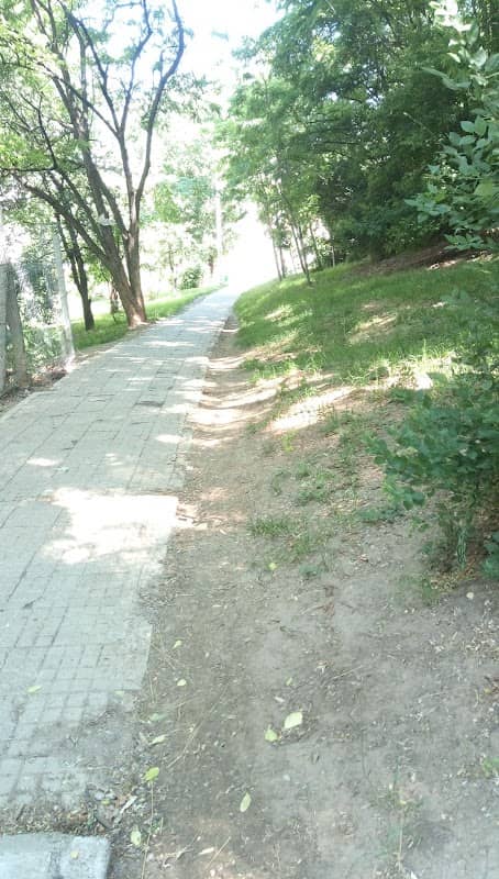 Parc Cuvioasa Parascheva - Image 1