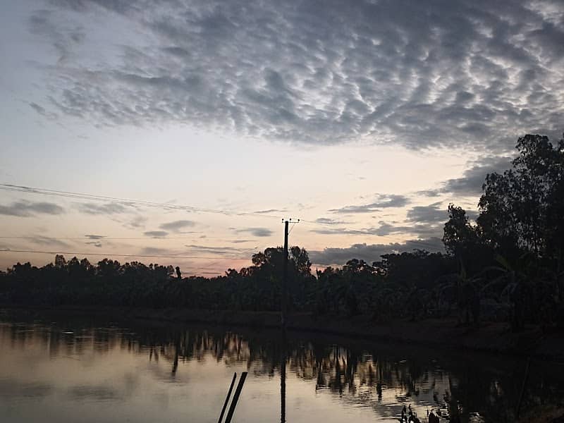 সুইসগেট - Image 1
