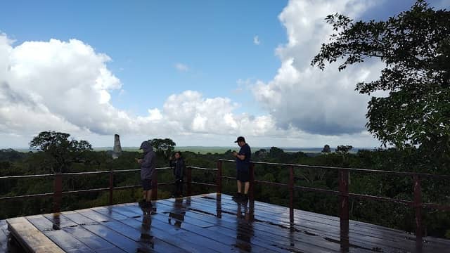 Tikal peten - Image 2