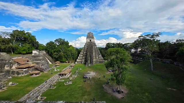Tikal peten - Image 1