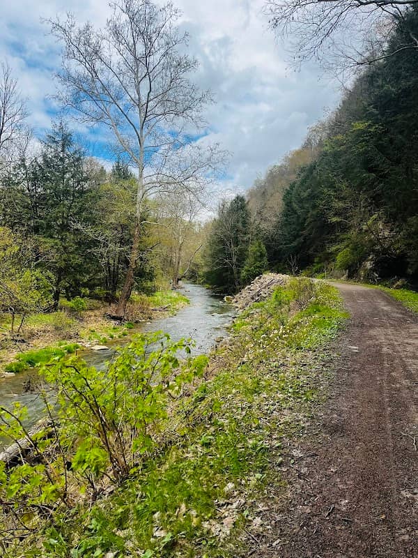 Buffalo Creek Nature Park - Image 1