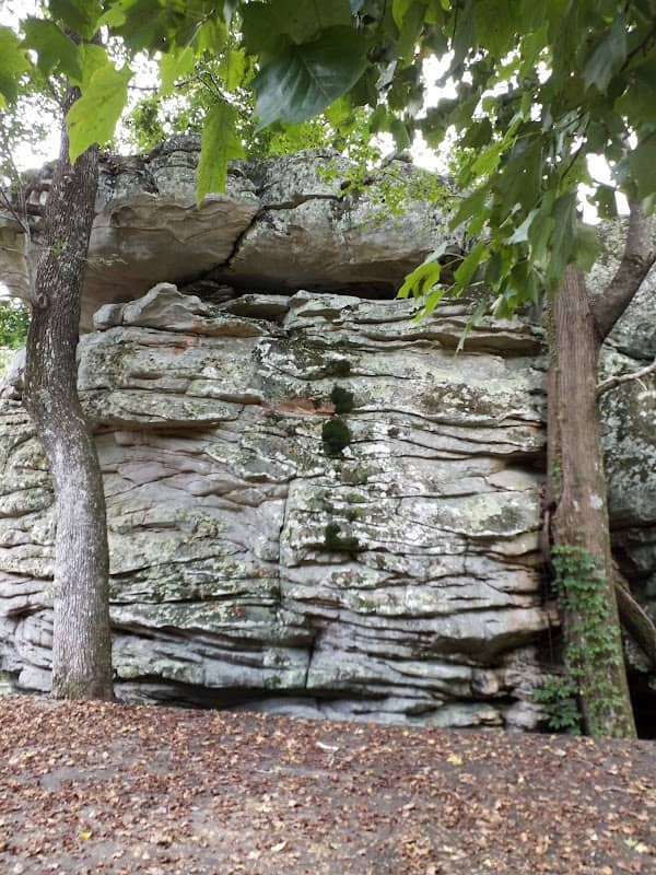Horse Pens 40 - Image 1