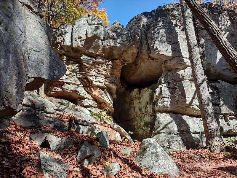 Horse Pens 40 - Image 2