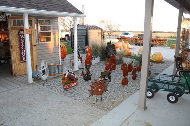 Jason's Pumpkin Patch - Image 1