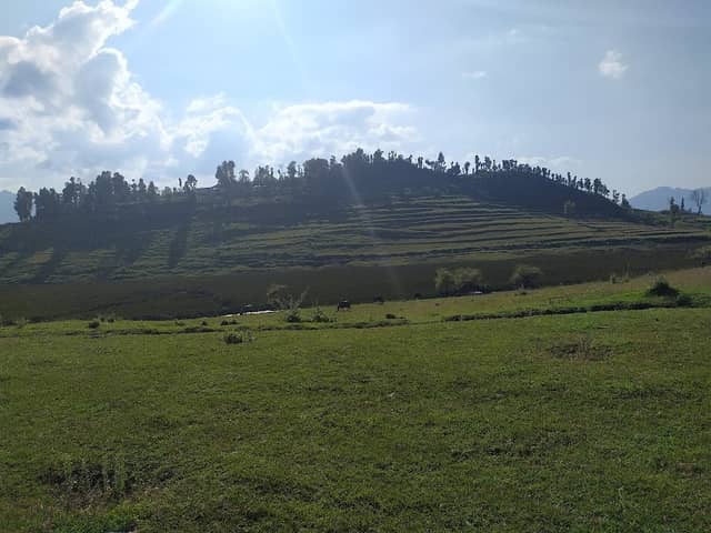 Benital - Image 2