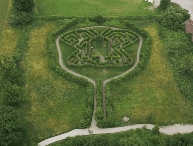 Butterfly Maze - Image 1