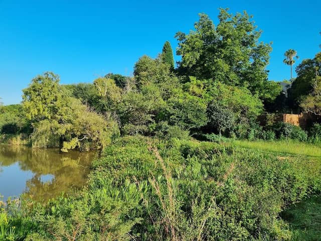 Struben Dam Bird Sanctuary - Image 3
