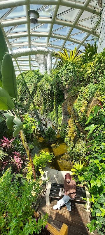 Konya Tropical Butterfly Garden - Image 3
