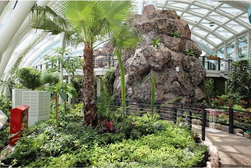 Konya Tropical Butterfly Garden - Image 1