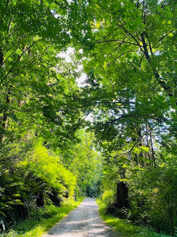 Scenic Park - Image 2