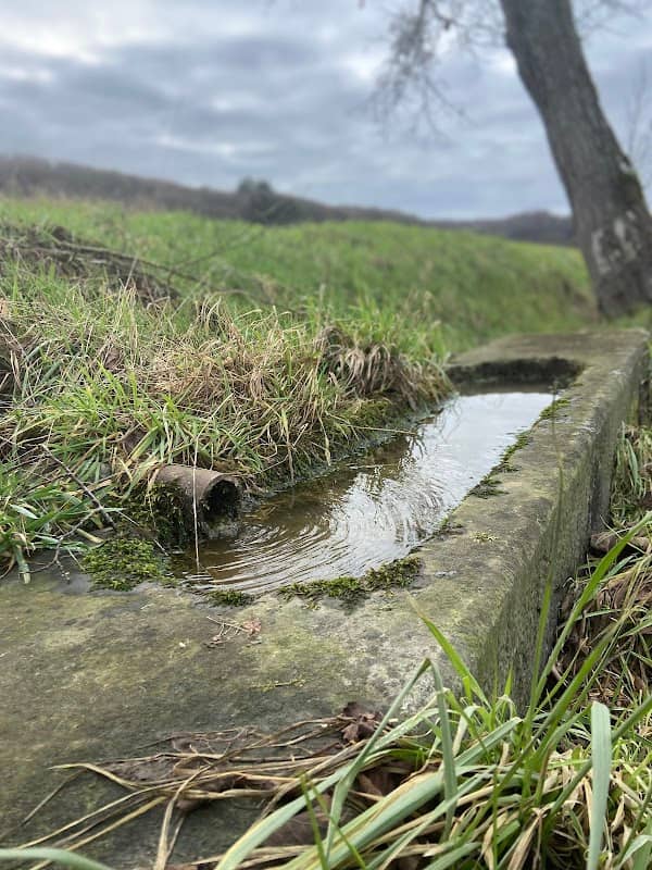 Old Watertrough of Stone - Image 1