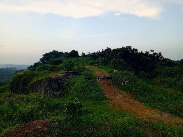 Kakkante Mala - Image 1