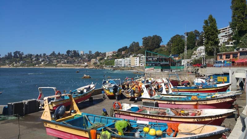Caleta Higuerillas - Image 1