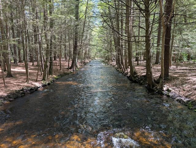 Amethyst Brook Conservation Area - Image 1