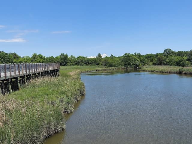 Waterwalk at Central Park - Image 1