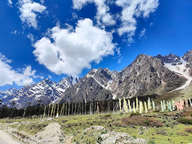 Yumthang Valley - Image 2