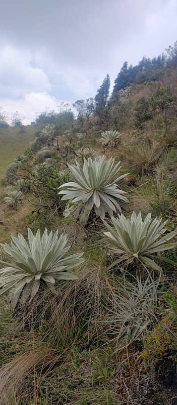 Plazuela del diablo - Image 1
