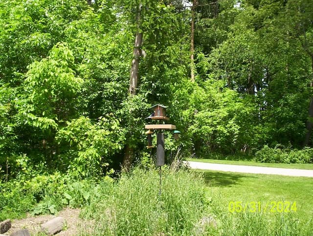 Grant Park Birdfeeder - Image 2