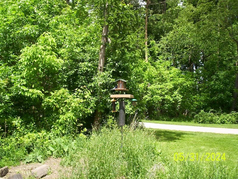 Grant Park Birdfeeder - Image 2