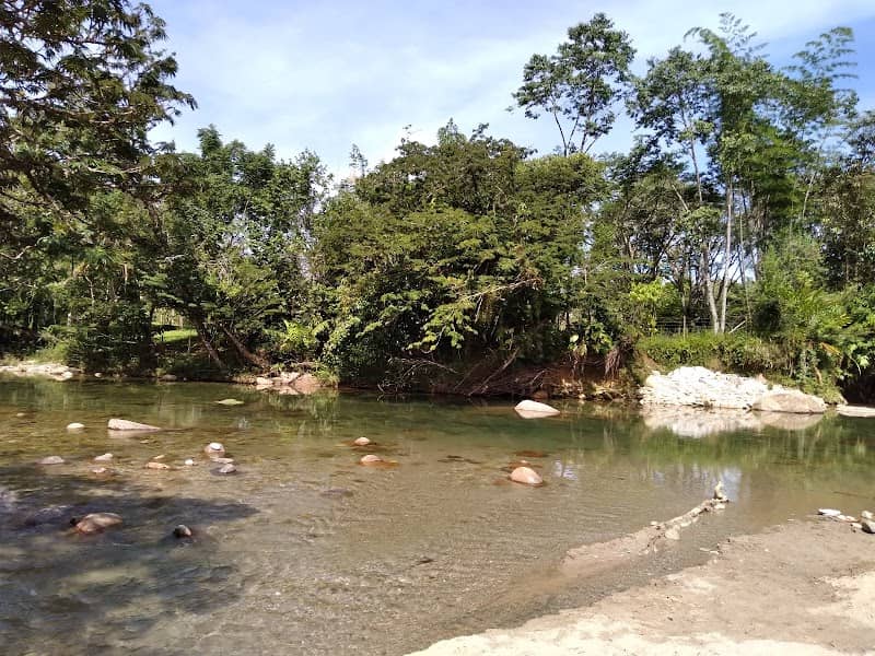 Charco el limón - Image 2