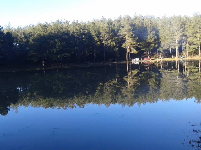 park - Image 1