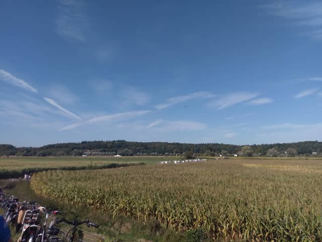 Oorlogsmonument - Image 1