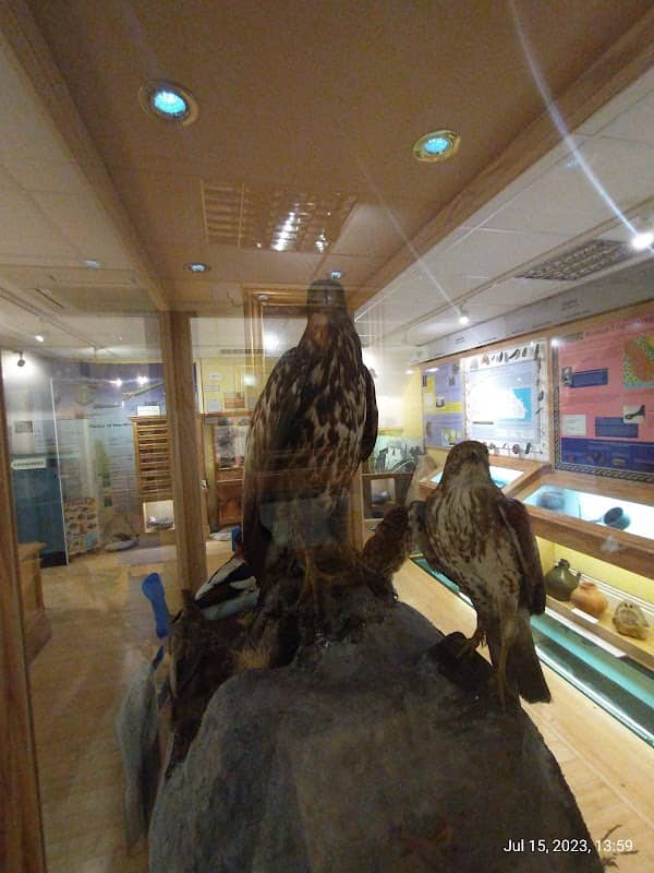 Louth Museum - Image 2